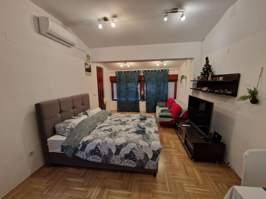 Warm House Full Of Green Ambient,Joy And Comfort 자그레브 외부 사진