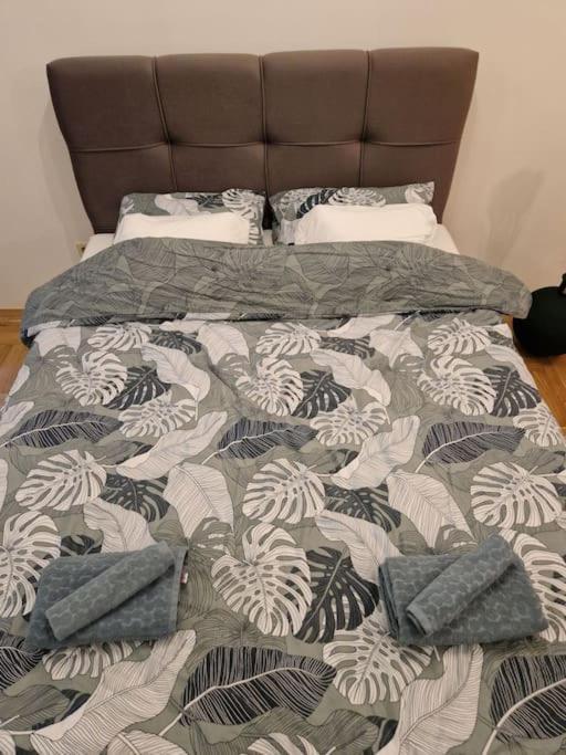 Warm House Full Of Green Ambient,Joy And Comfort 자그레브 외부 사진